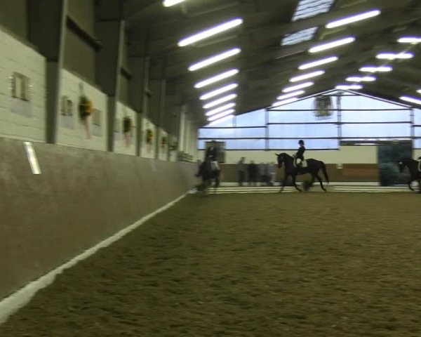Reitturnier Datteln 2015