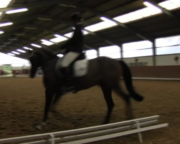 Reitturnier Datteln 2015
