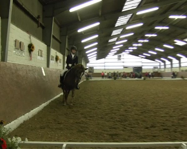 Reitturnier Datteln 2015
