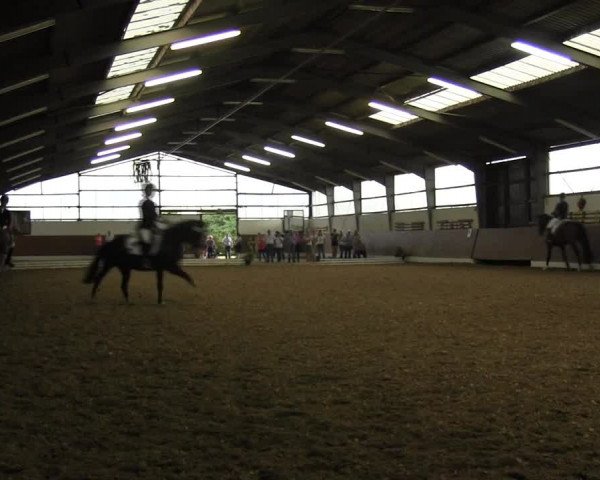 Reitturnier Datteln 2015
