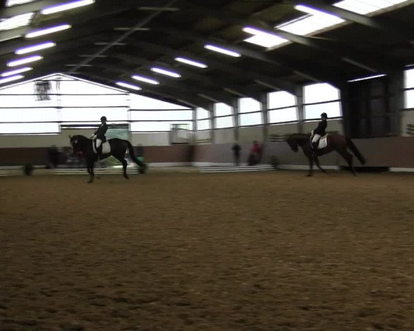 Reitturnier Datteln 2015