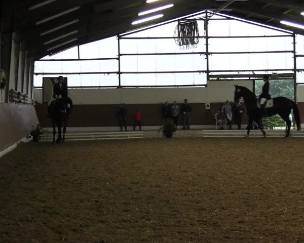 Reitturnier Datteln 2015