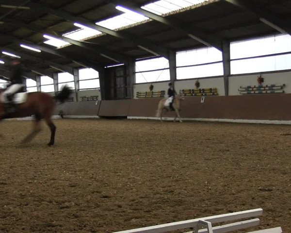 Reitturnier Datteln 2015