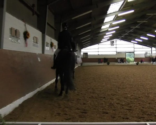 Reitturnier Datteln 2015