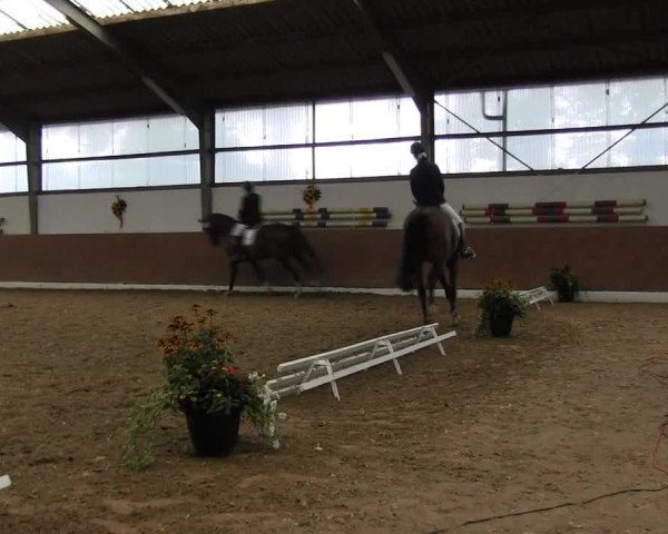 Reitturnier Datteln 2015