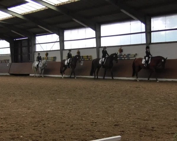 Reitturnier Datteln 2015