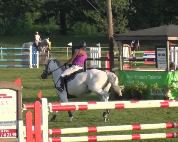 Reitturnier Gardelegen 2015
