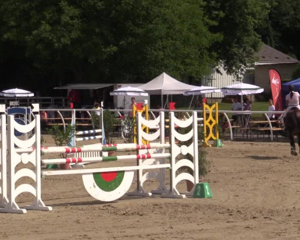 Summer Meeting Hachenburg 2015