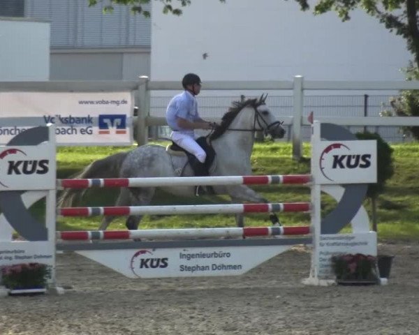 Reitturnier Mönchengladbach-Abtshof 2015
