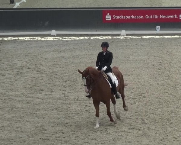 Reitturnier Mönchengladbach-Abtshof 2015