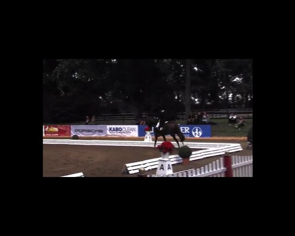 Schenefelder Sommerturnier 2015 - Horse & Classic
