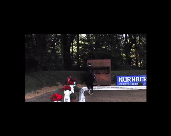 Schenefelder Sommerturnier 2015 - Horse & Classic