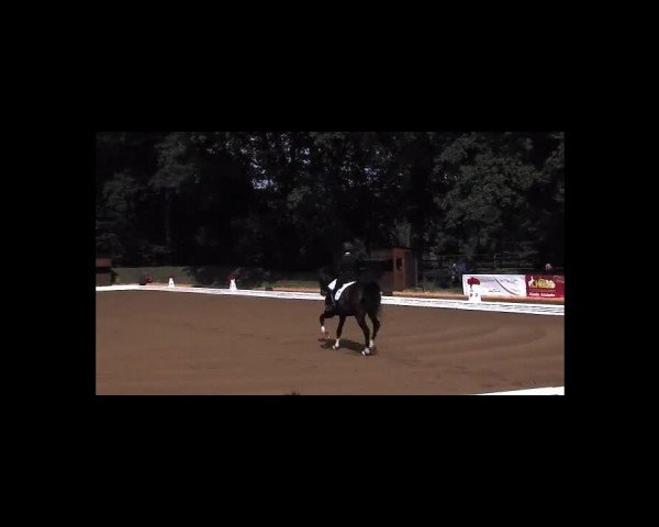 Schenefelder Sommerturnier 2015 - Horse & Classic