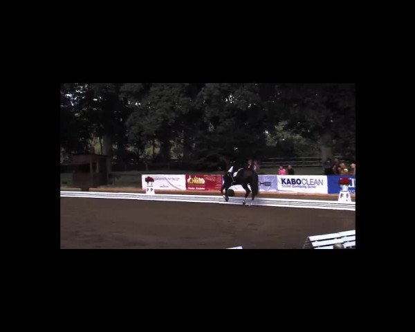 Schenefelder Sommerturnier 2015 - Horse & Classic