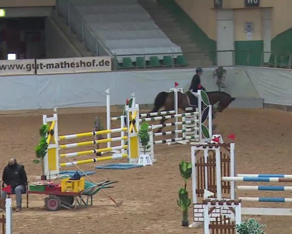 Springturnier Kreuth 2022