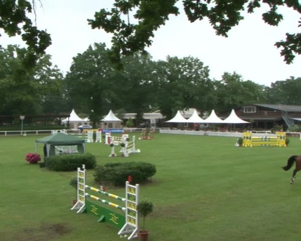 Schenefelder Sommerturnier 2015 - Horse & Classic