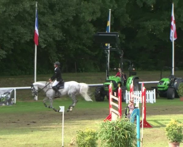Schenefelder Sommerturnier 2015 - Horse & Classic