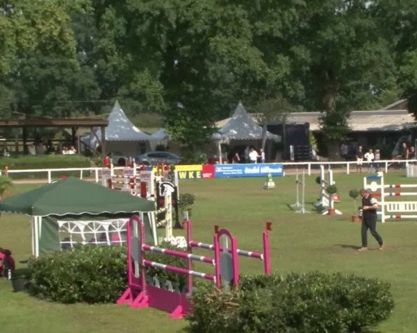 Schenefelder Sommerturnier 2015 - Horse & Classic