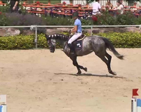 Reitturnier Waldachtal-Heiligenbronn 2015