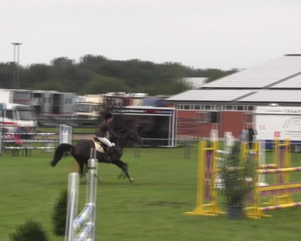 Reitturnier Holdorf 2015