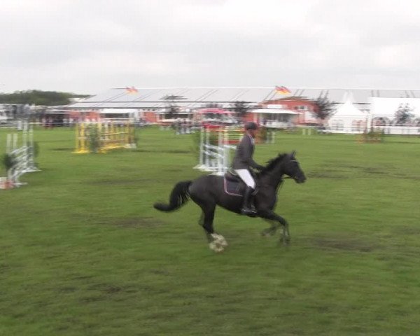 Reitturnier Holdorf 2015