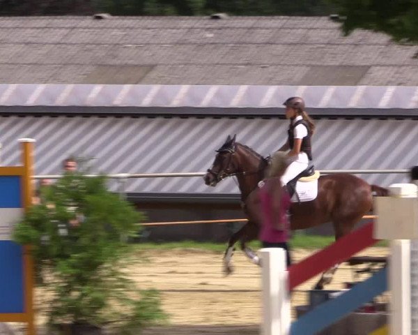 Equestrian Show Bühren-Breckerfeld 2015