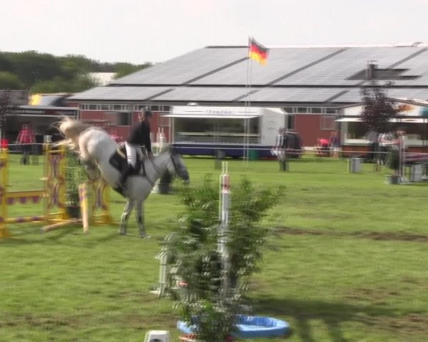 Reitturnier Holdorf 2015