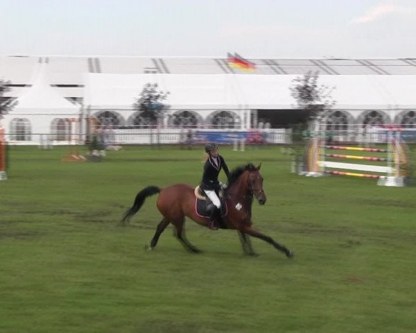 Reitturnier Holdorf 2015
