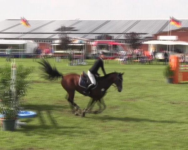 Reitturnier Holdorf 2015