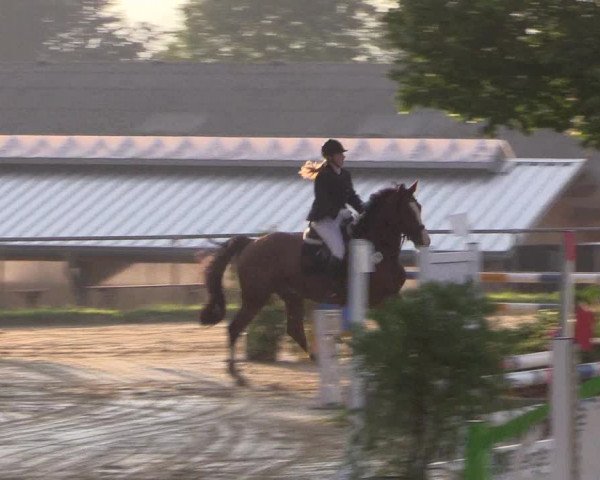 Reitturnier Bühren-Breckerfeld 2015