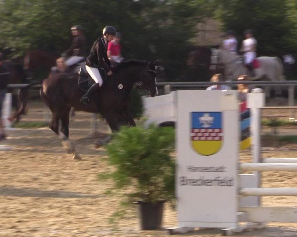 Reitturnier Bühren-Breckerfeld 2015