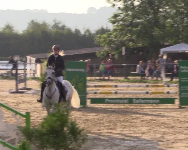 Reitturnier Bühren-Breckerfeld 2015