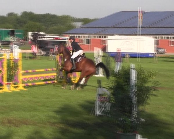 Reitturnier Holdorf 2015