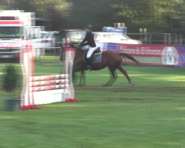 Reitturnier Holdorf 2015