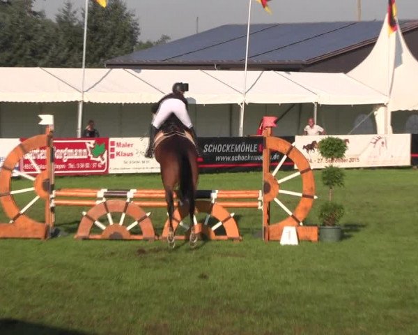 Reitturnier Holdorf 2015
