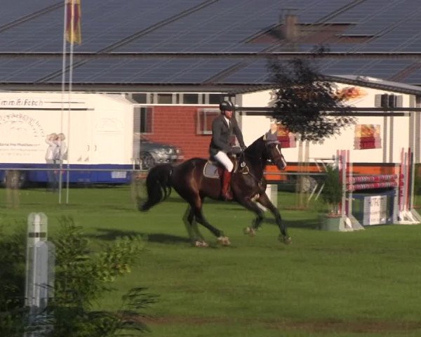Reitturnier Holdorf 2015