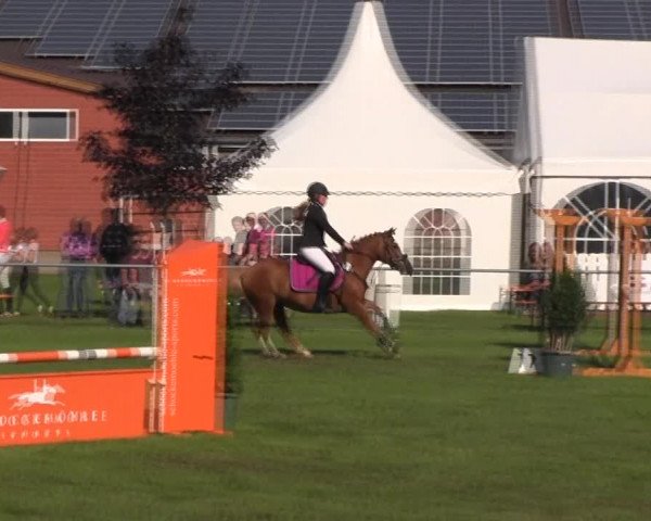 Reitturnier Holdorf 2015