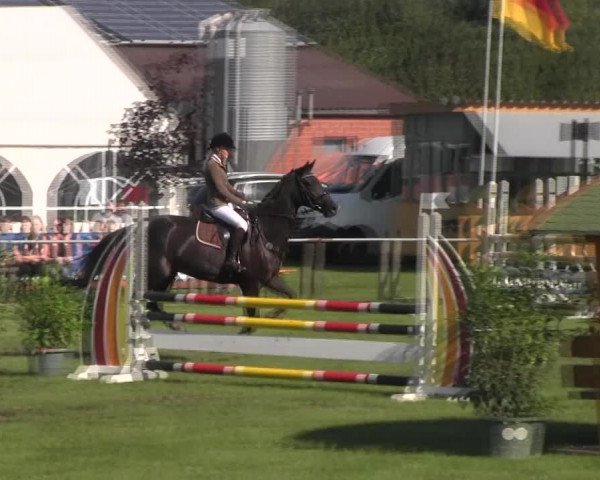 Reitturnier Holdorf 2015