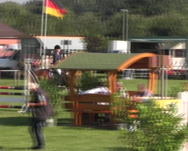 Reitturnier Holdorf 2015