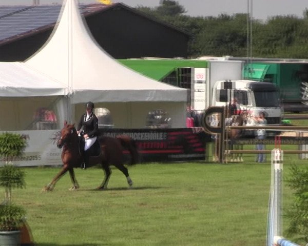 Reitturnier Holdorf 2015