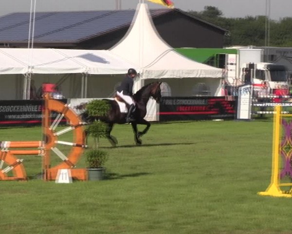 Reitturnier Holdorf 2015