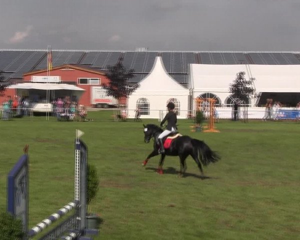 Reitturnier Holdorf 2015