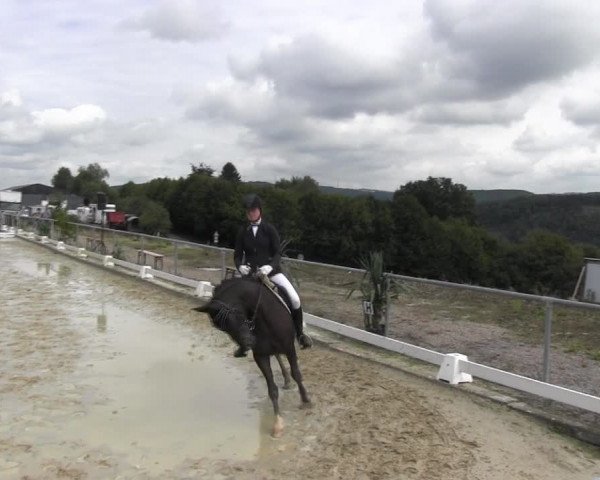 Reitturnier Bühren-Breckerfeld 2015