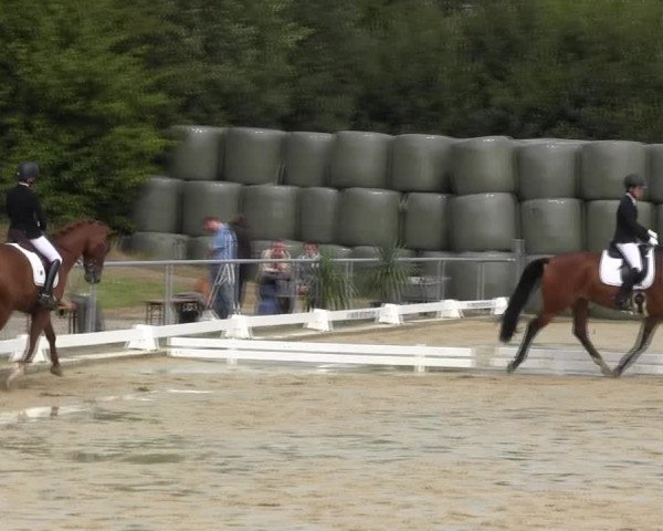 Reitturnier Bühren-Breckerfeld 2015