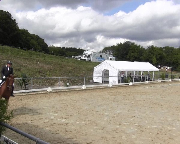 Reitturnier Bühren-Breckerfeld 2015
