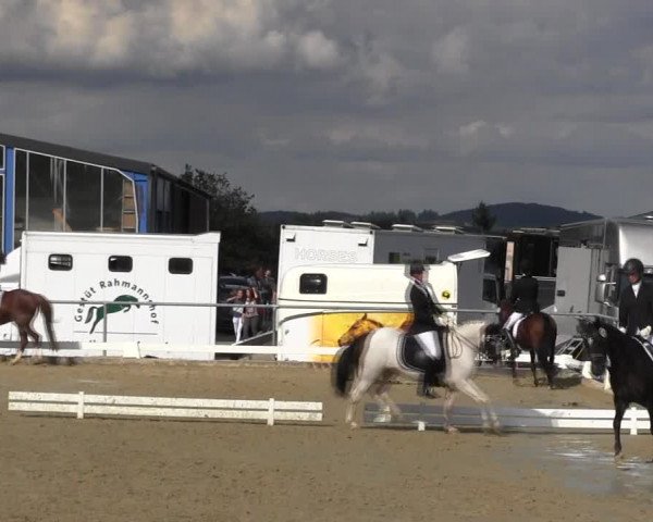 Reitturnier Bühren-Breckerfeld 2015