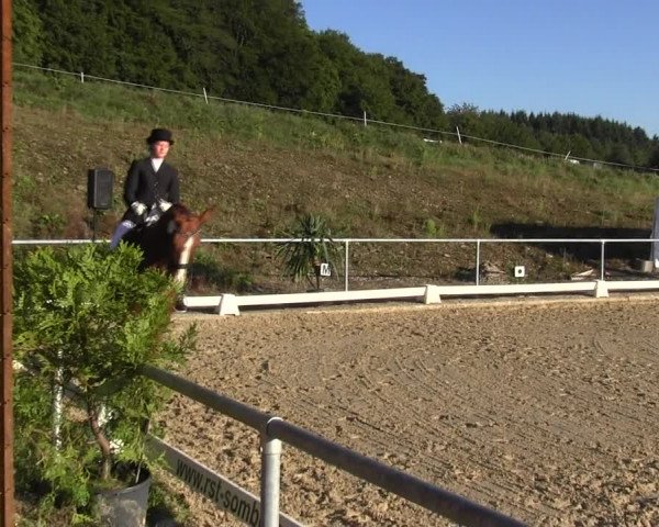 Reitturnier Bühren-Breckerfeld 2015