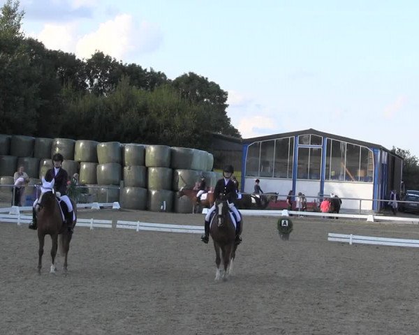 Reitturnier Bühren-Breckerfeld 2015