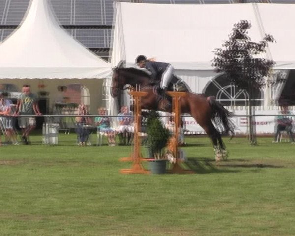 Reitturnier Holdorf 2015
