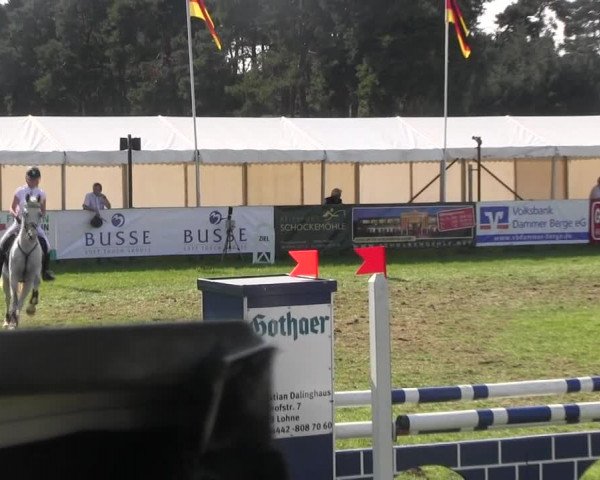 Reitturnier Holdorf 2015